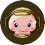 Pig Finance